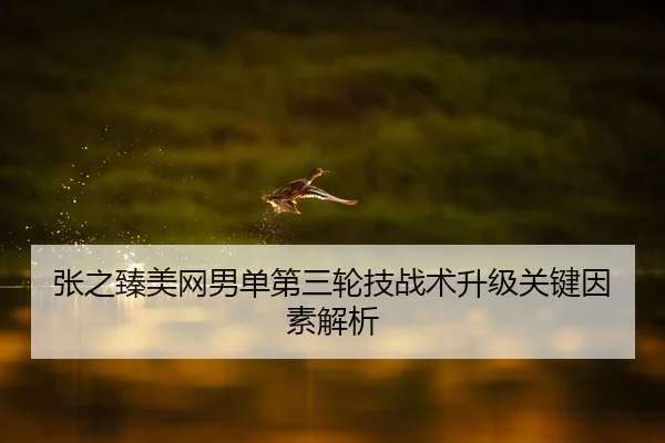 张之臻美网男单第三轮技战术升级关键因素解析