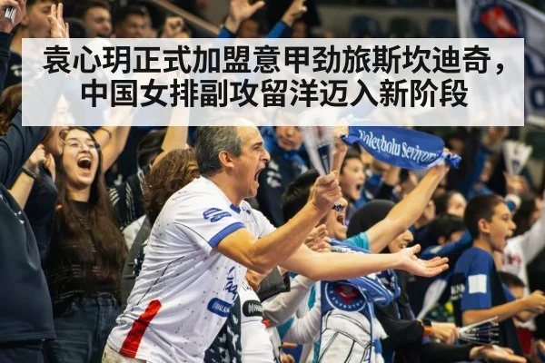 volleyball stadium crowd